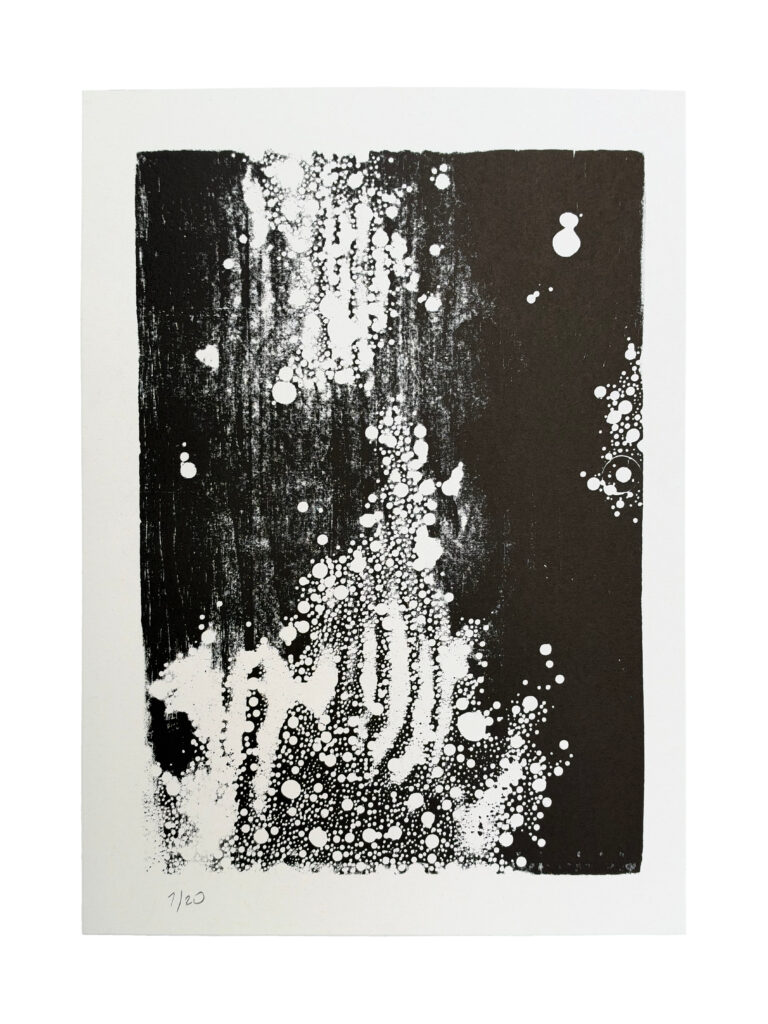 XILO_01 01/20